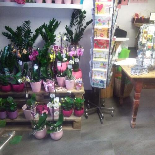 Blumen Süssenbach - Referenzen