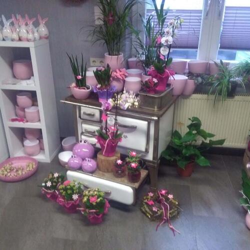 Blumen Süssenbach - Referenzen