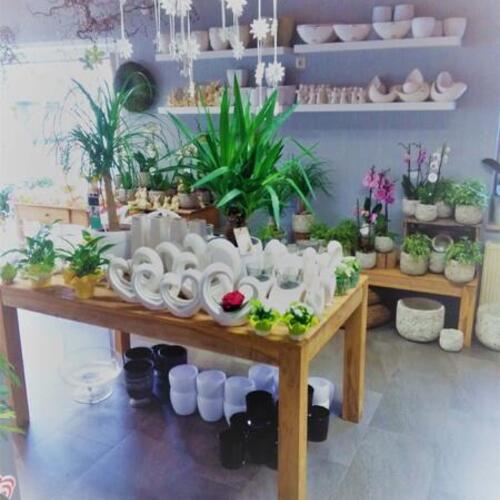 Blumen Süssenbach - Referenzen