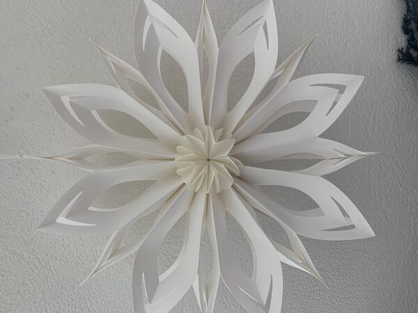 Blüte 