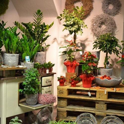 Blumen Süssenbach - Referenzen